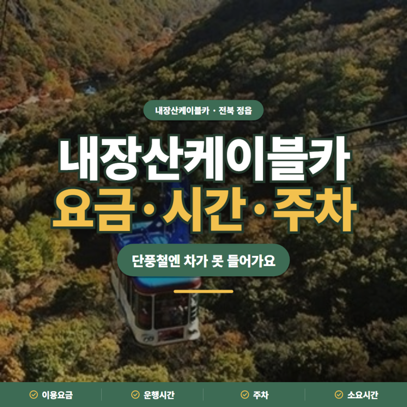 내장산케이블카 2026 요금·운행시간·단풍철 주차 정리