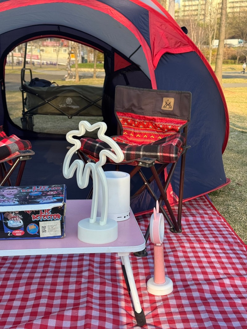 盤浦漢江公園ピクニック レジャーシート セビッソム チューブスター 遊びのおすすめ