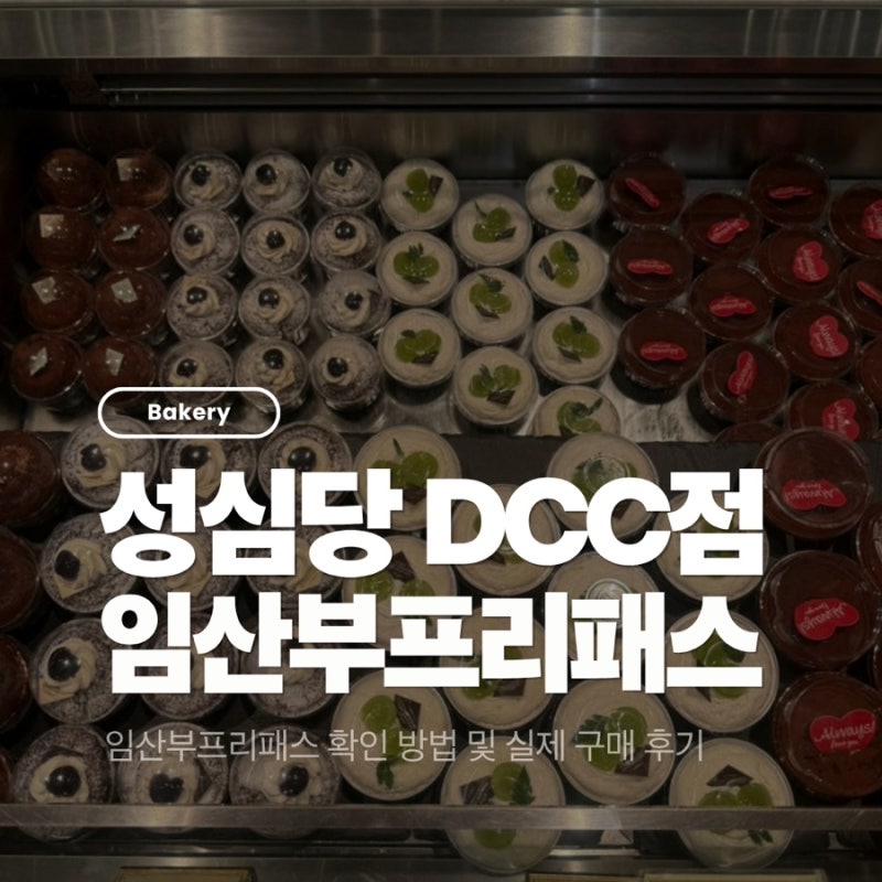 추석 연휴 성심당 DCC점 방문 임산부 프리패스 실제 사용 후기