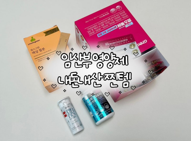 임신 내돈내산 찐템 추천｜임신 초기 중기 영양제 편