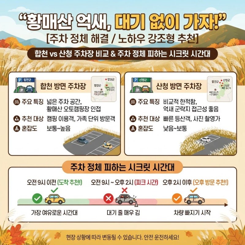 [황매산 억새 완벽 가이드] 주차 대기 없이 가려면? 황매산 억새 군락지 주차장 비교 & 인생샷....