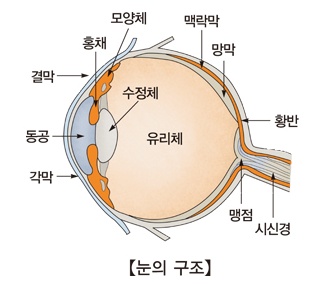 강남역 스마일라식, 수술 당일 아침부터 밤까지 그대로 알려드립니다