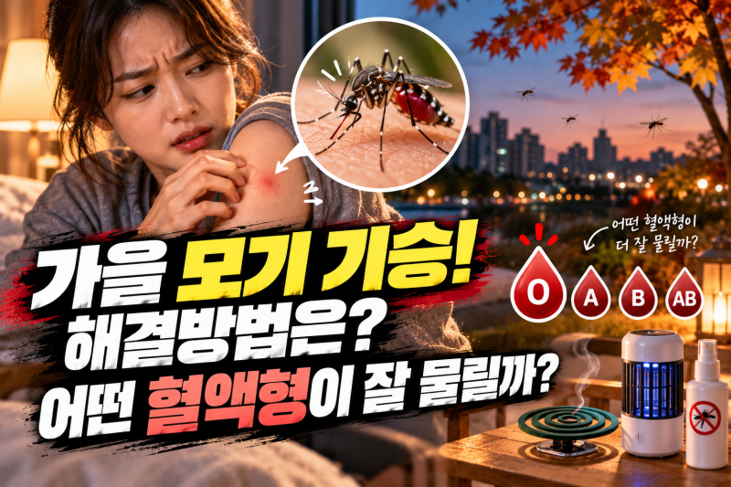 가을 모기 왜 이렇게 기승일까? 해결방법부터 어떤 혈액형이 잘 물리는지까지