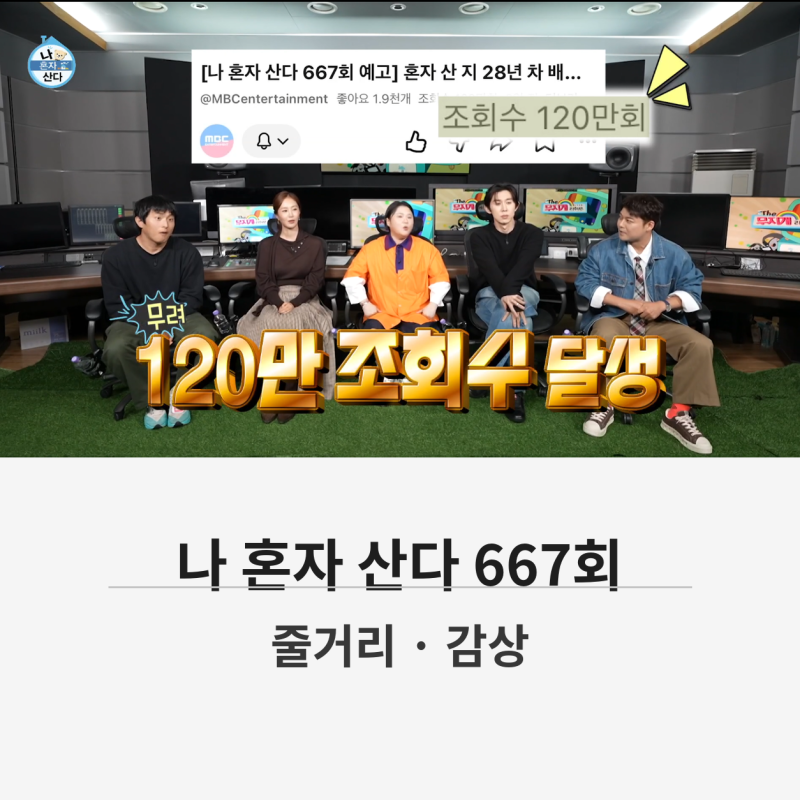 나 혼자 산다 667회 김민 집부터 무술 10단 합기도 사범까지｜유리 제주 일상 줄거리 감상
