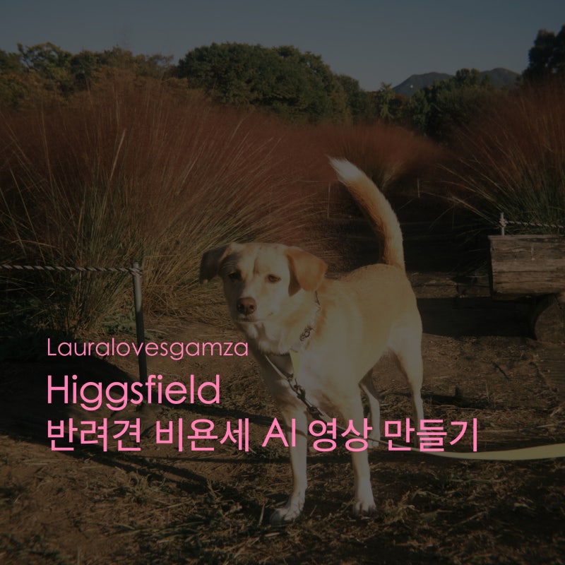 [Higgsfield] 반려견 비욘세 춤 AI 영상 만드는 방법 - 힉스필드