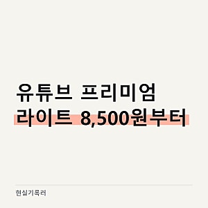 유튜브 프리미엄 가격과 라이트 요금제, 가족 공유는 안돼요