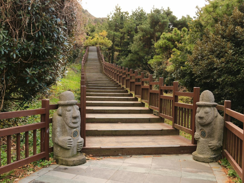 제주도 렌트카 비교, 차종별 가격과 보험 옵션 정리