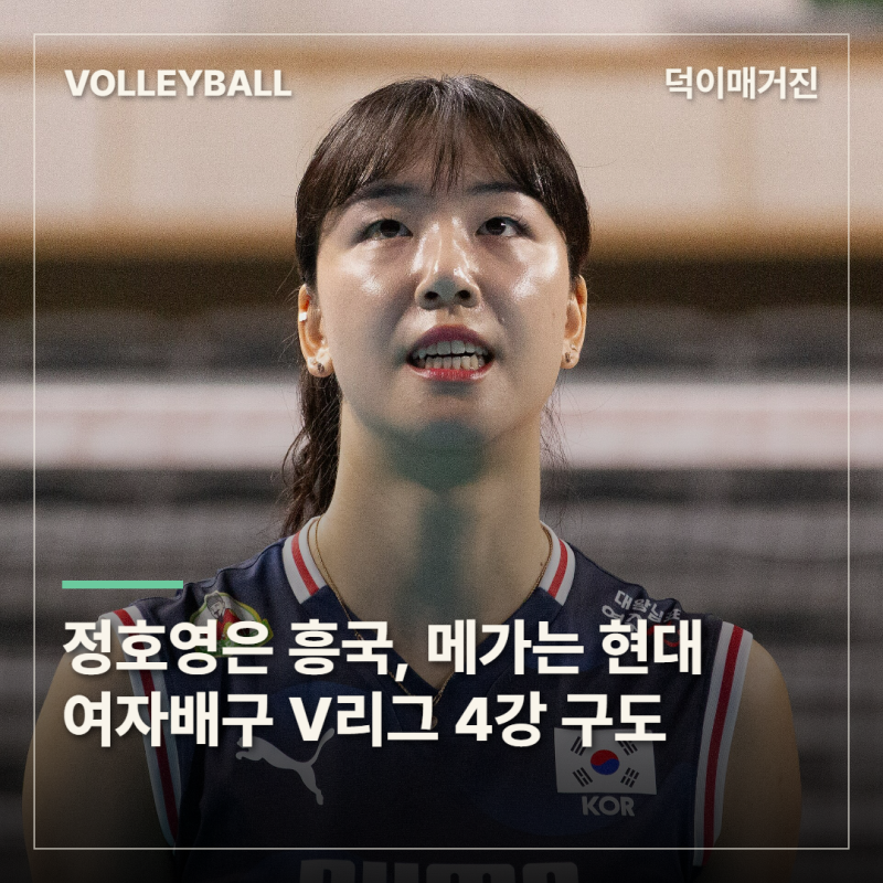 정호영은 흥국, 메가는 현대…여자배구 새 시즌 4강 구도