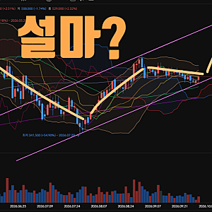 삼성SDI 주가 기대되는 이유 삼성SDI 목표가 60만원 가능하다! 배당금 배당일 주가 전망