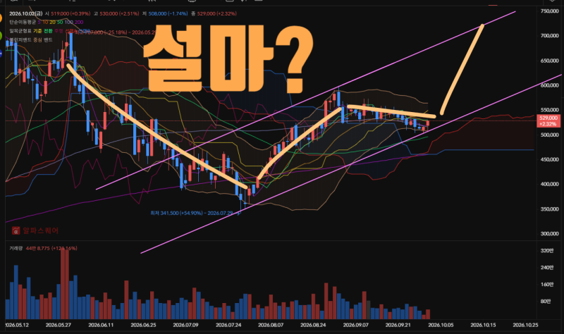 삼성SDI 주가 기대되는 이유 삼성SDI 목표가 60만원 가능하다! 배당금 배당일 주가 전망