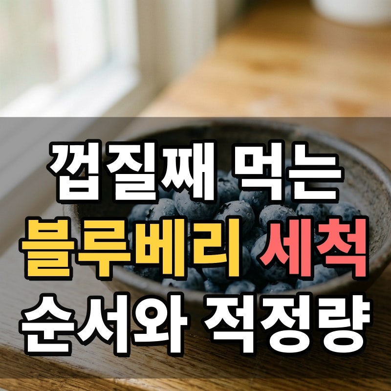 블루베리 세척법 어떻게 씻을까? 껍질째 먹는 안심 세척 순서와 신선 보관 기간 및 적정 하루....