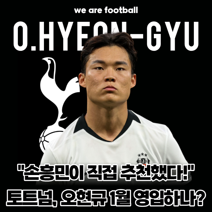 "손흥민이 직접 추천했다!" 꼴찌 추락 토트넘, '괴물 공격수' 오현규 1월 영입 전격 추진... EPL ....
