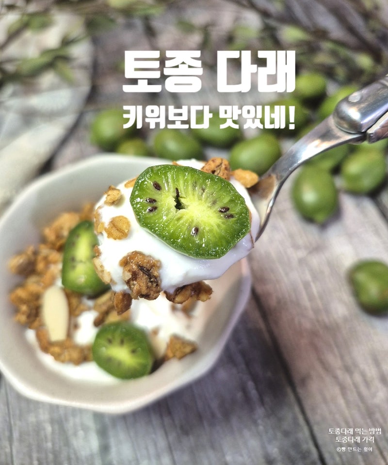 달디 단 토종다래 그릭요거트 토핑으로 최고네! 토종 다래 가격 먹는방법 총정리!