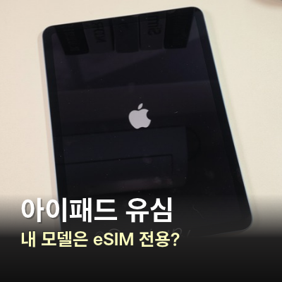 아이패드 유심 넣기 전 확인, 셀룰러 모델도 eSIM 전용일까