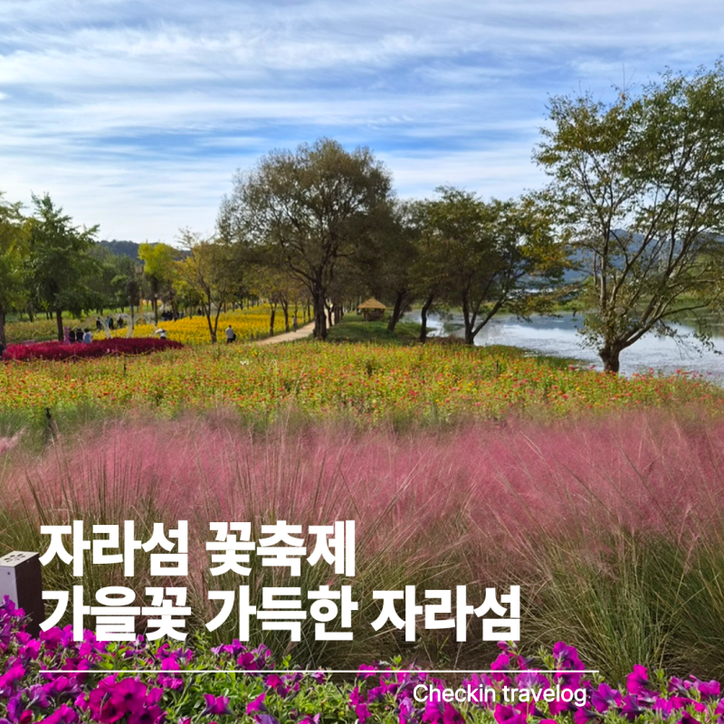2026 가평 자라섬 꽃 페스타 후기｜무료주차·입장료·재즈페스티벌까지