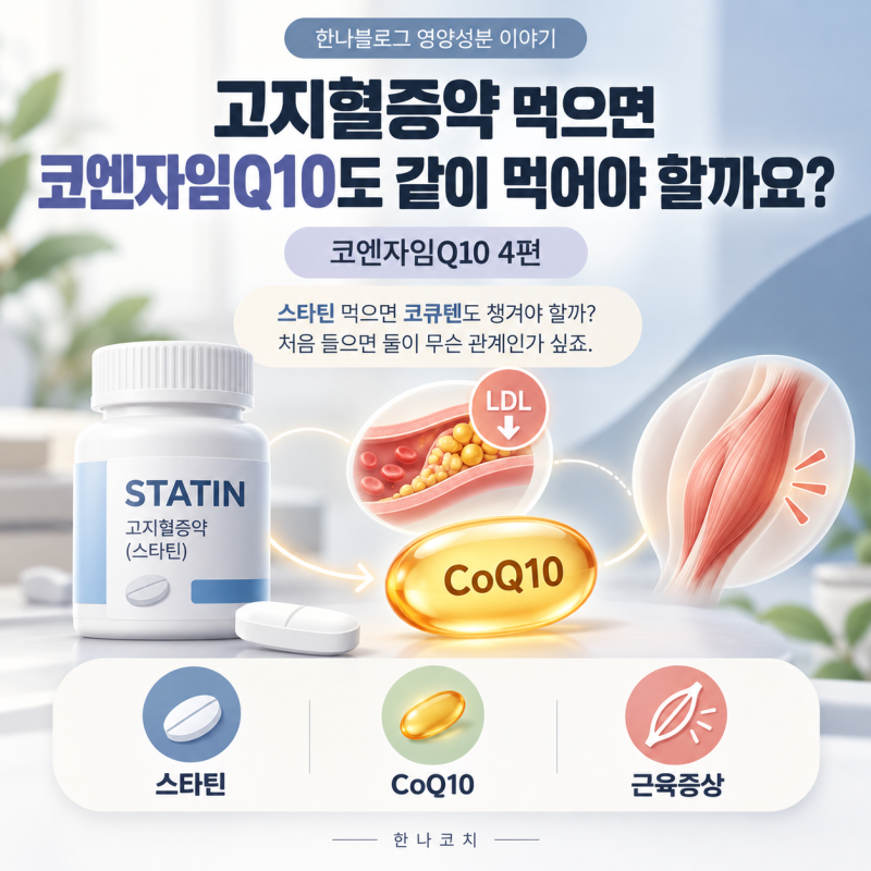 고지혈증약 먹으면 코엔자임Q10도 같이 먹어야 할까요? ｜ 코엔자임Q10 [4편]