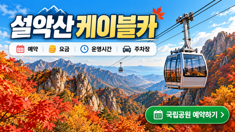 2026 설악산 케이블카 총정리｜예약·운영시간·가격·주차장·권금성 이용방법