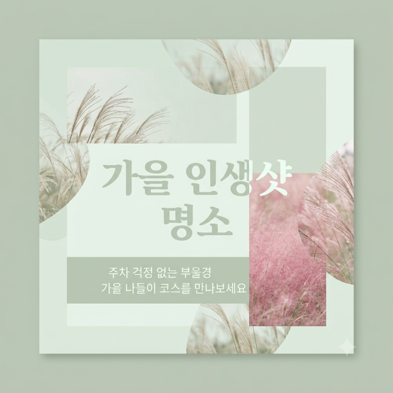 10월 가볼만한곳 추천 부산 경남 울산 억새 핑크뮬리 명소 주차장 및 대중교통 꿀팁