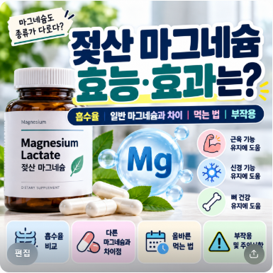 젖산 마그네슘 효능·효과는? 일반 마그네슘과 차이·먹는 법·부작용 총정리