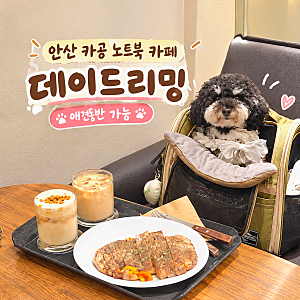안산 카공 노트북하기 좋은 카페｜애견동반 가능 [데이드리밍] 강아지랑 베이커리 (주차 무....