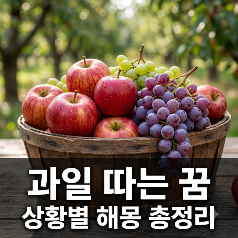 과일을 따는 꿈 해몽 총정리! 태몽부터 재물운까지 상황별 의미