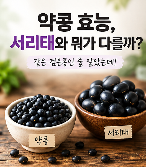 약콩 효능, 서리태와 약콩의 효능 차이｜같은 검은콩인 줄 알았는데