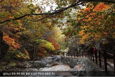 유명한 곳 빼고 찾은 ‘진짜’ 단풍+온천 힐링 코스 3곳
