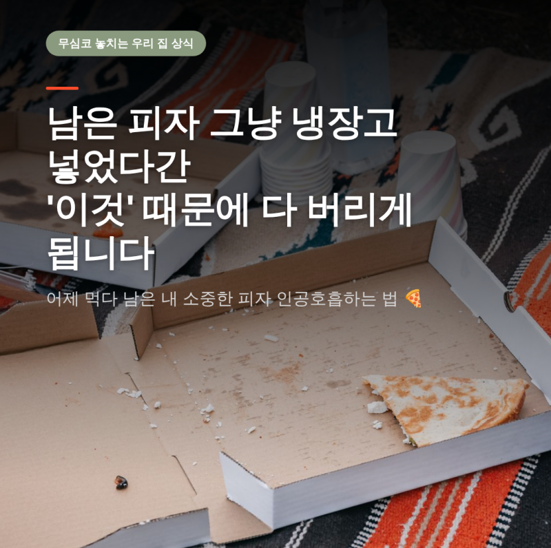 남은 피자 보관법 냉장고에 그냥 넣으면 안 되는 이유와 올바른 해동 꿀팁