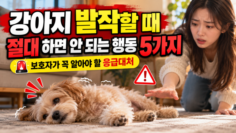 ⭐ 강아지 발작할 때 절대 하면 안 되는 행동 5가지｜보호자가 꼭 알아야 할 응급대처