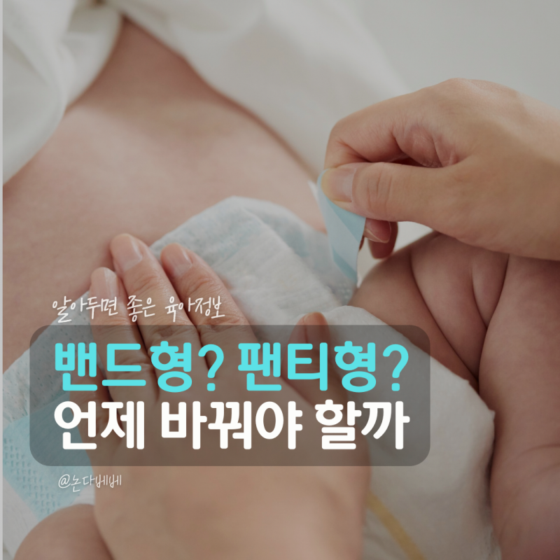 기저귀 종류 밴드형 팬티형 차이 아기 기저귀 단계 사이즈 교체시기