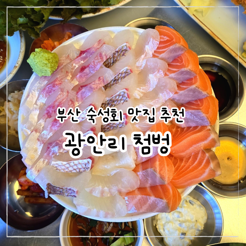 첨벙 광안리 부산 숙성회 맛집, 가성비 끝내주는 부산 횟집