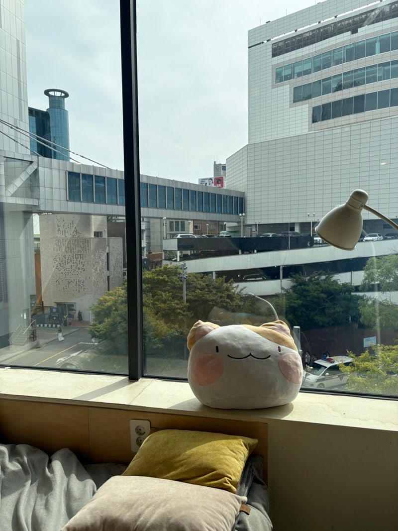 신촌놀숲,신촌만화카페,신촌데이트 신촌에서 체인소맨 10권 읽어버린 날, 신촌놀숲 프리미엄....