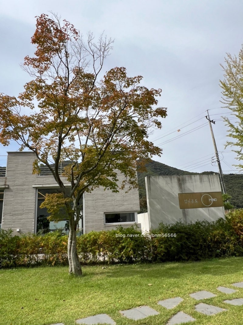 [전북 완주 카페] 완주 밀의온도, 완주 대형 카페, 밀의온도 야외웨딩, 전주야외웨딩, 핑크뮬....