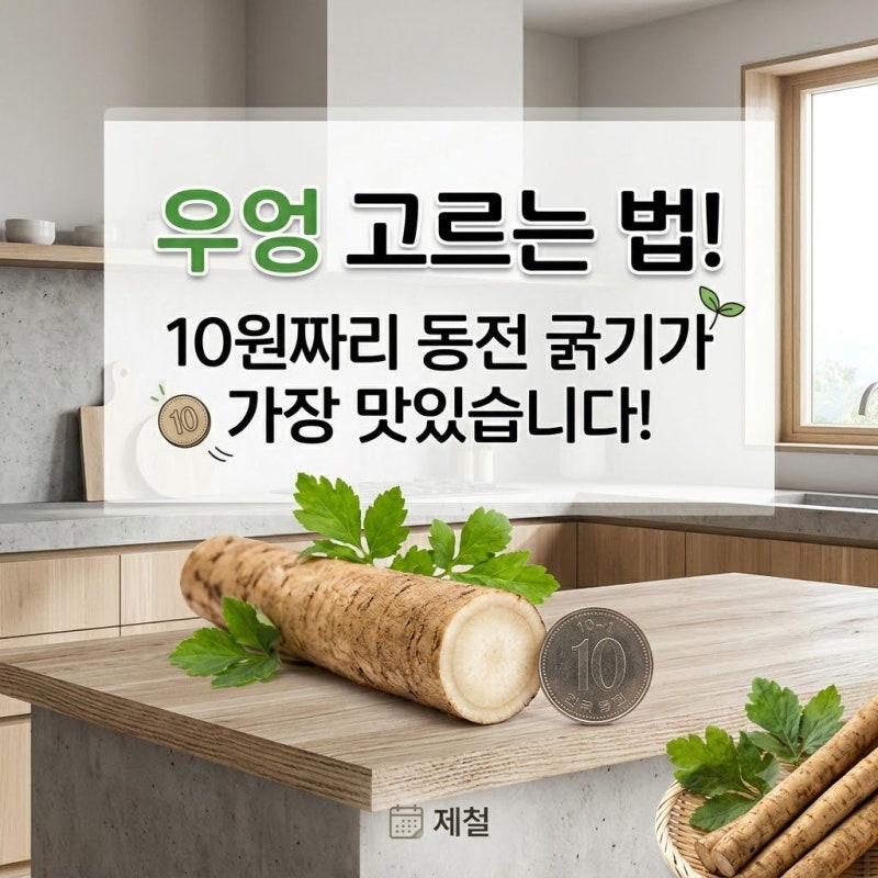 우엉 고르는 법, 10원짜리 동전 굵기가 가장 맛있습니다
