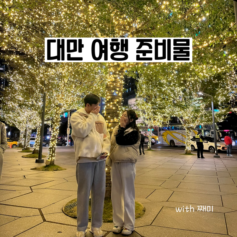 대만 여행 준비물 1월 겨울 반팔 챙겼다가 후회한 후기 (4번 다녀온 체크리스트)