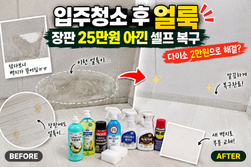 입주청소 후 장판·벽지 얼룩, 교체비 30만 원? 다이소 2만 원으로 셀프 복구한 후기