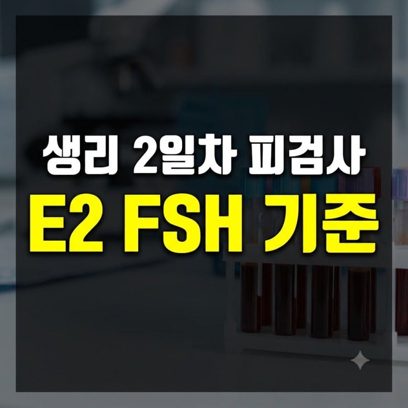 생리 2일차 피검사, 시험관 5년 차가 정리한 E2와 FSH 수치 해석법