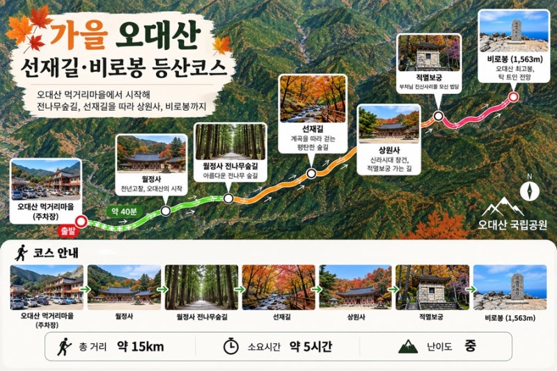 가을 오대산 선재길·비로봉 등산 후기 | 걷기 좋은 숲길 따라 정상까지 (코스·소요시간·난....