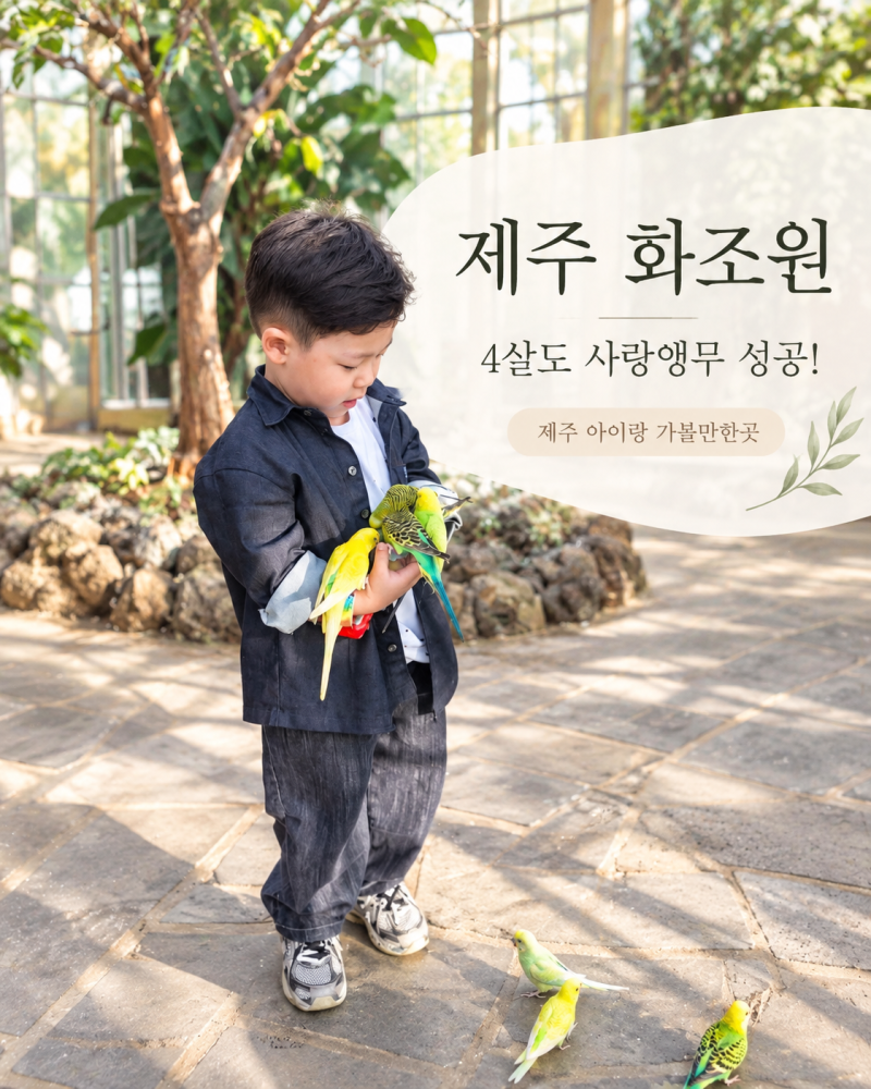 제주아이랑가볼만한곳 화조원 4살 아이 먹이주기 체험부터 맹금류 자유비행까지