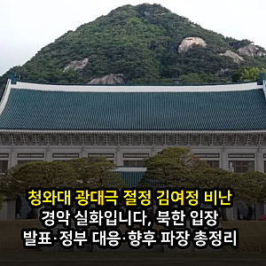 청와대 광대극 절정 김여정 비난 경악 실화입니다, 북한 입장 발표·정부 대응·향후 파장 총....