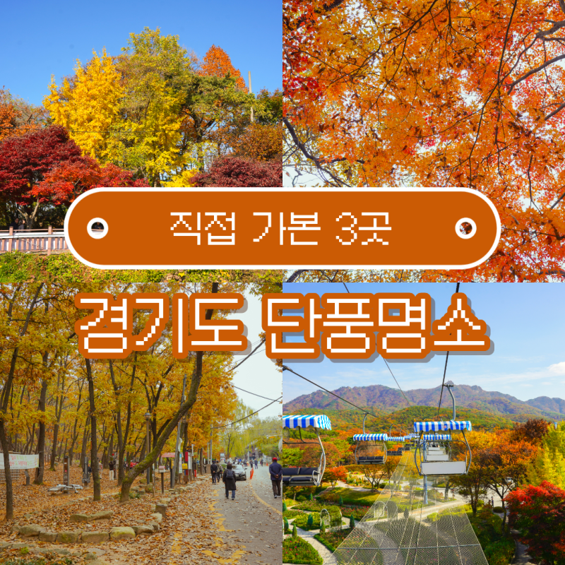 경기도 단풍명소 3 서울대수목원 서울대공원 백운호수