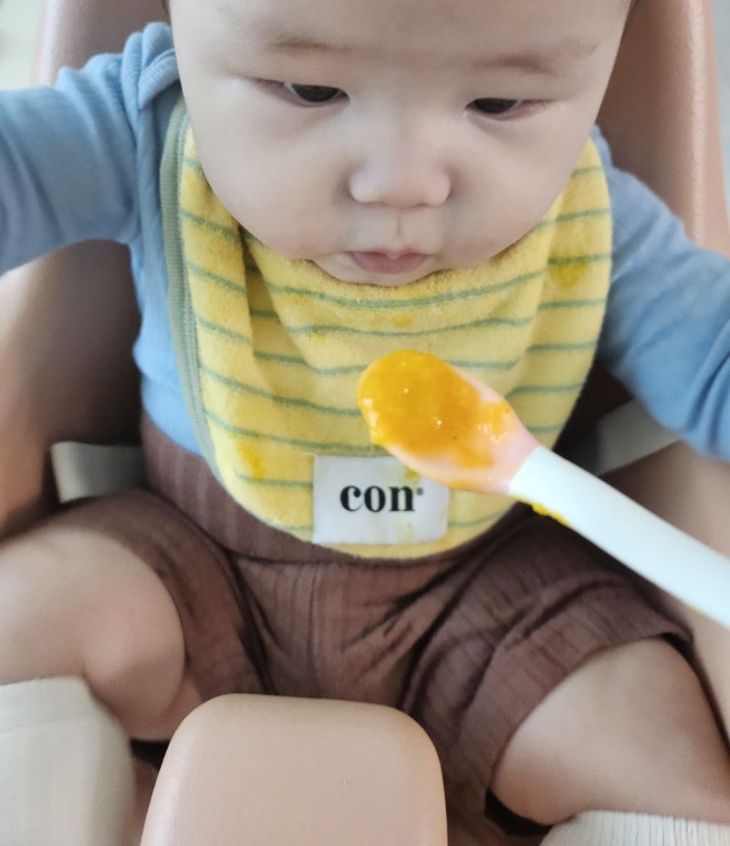 [6개월아기]초기 이유식 식단표 공유 (뿐이토핑이유식)