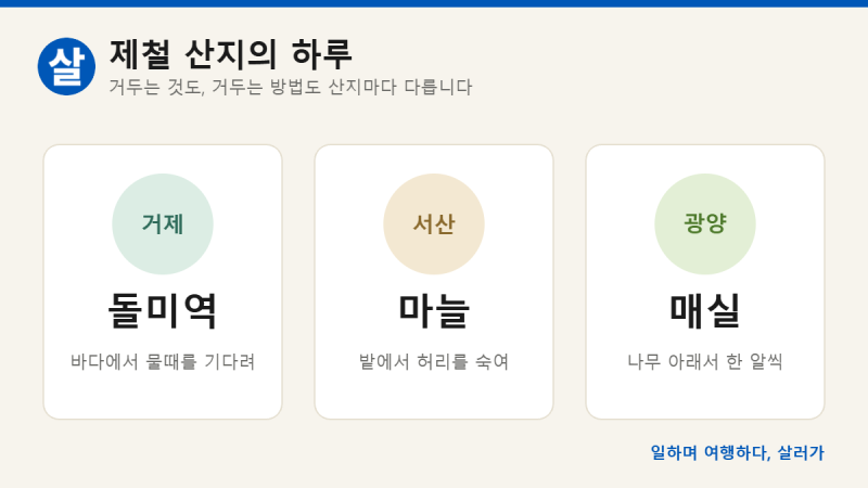 언니네 산지직송3 촬영지, 그 산지의 하루를 직접 살아 보는 워크투어리즘