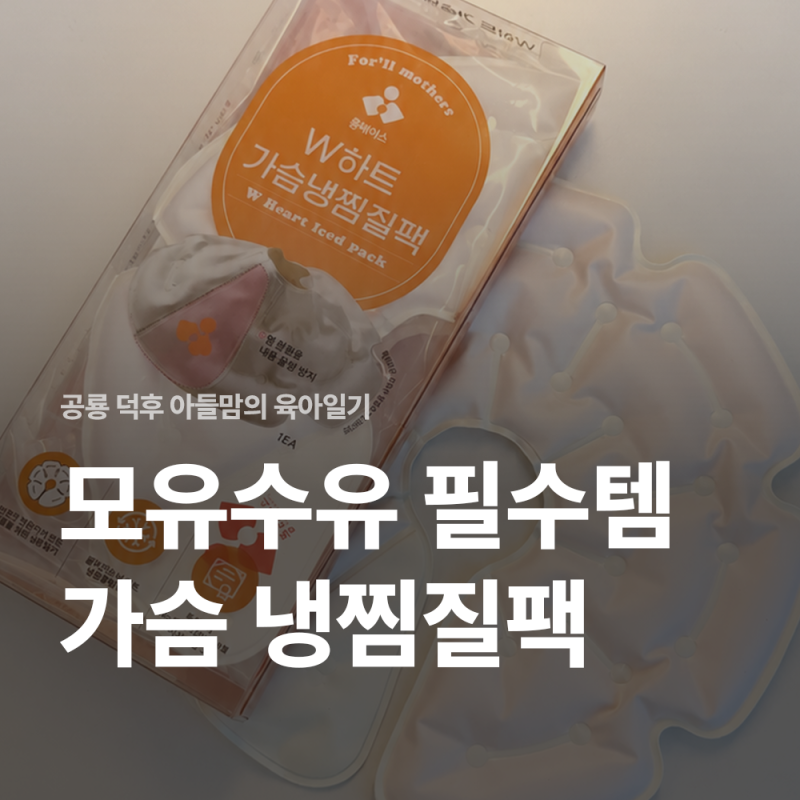 가슴냉찜질팩 모유수유 준비물 공부하며 직접 사용해 본 솔직 후기!