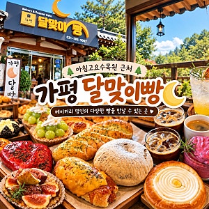 [내돈내먹] 가평 상면 베이커리 카페 ‘가평달맞이빵’｜아침고요수목원 근처 제빵명인 빵....