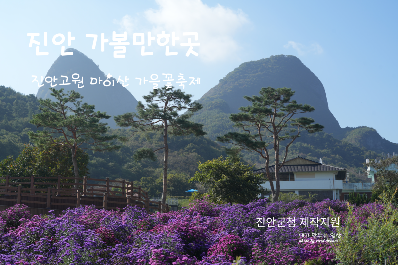 진안 가볼만한곳 마이산 북부일대와 가을꽃축제 코스 가을여행지 추천