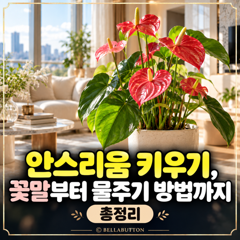 안스리움 키우기, 꽃말부터 물주기 방법까지 총정리