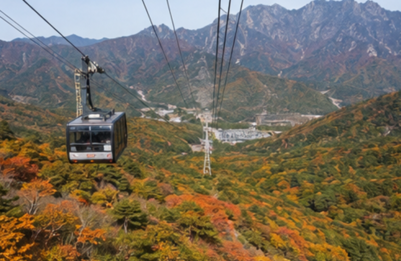 ⛰️ 설악산 단풍 절정 10월 20일…모르고 가면 낭패 보는 코스별 통제·예약 총정리