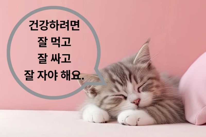 갱년기 불면증 극복, 내가 직접 해본 여러 가지 방법과 효과까지