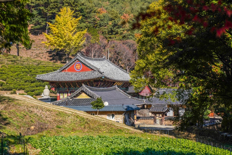 Gyeongnam Sacheon Must-Visit: Silan Sunset Road, Samcheonpo Seobu Fish Market, Dasolsa Temple - Perfect for a Date